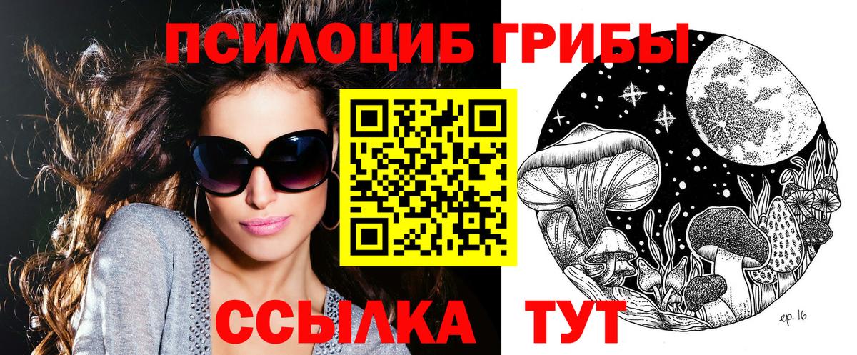Псилоцибиновые грибы прущие грибы Всеволожск
