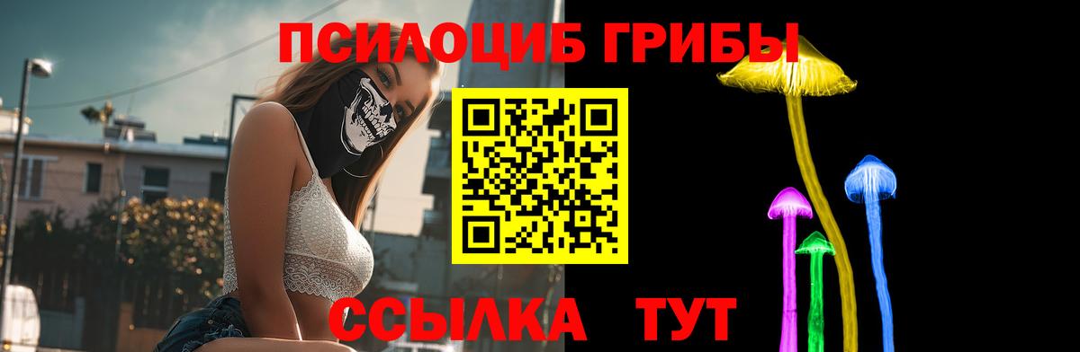 купить закладку  Вход с VPN  Всеволожск  Галлюциногенные грибы мухоморы 